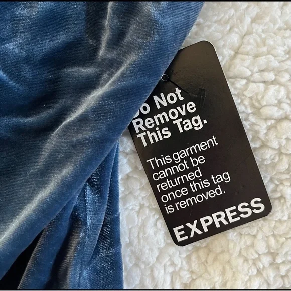 ✨ HP ✨ Velvet ✨ Plunge Bodysuit ✨ - Picture 6 of 8